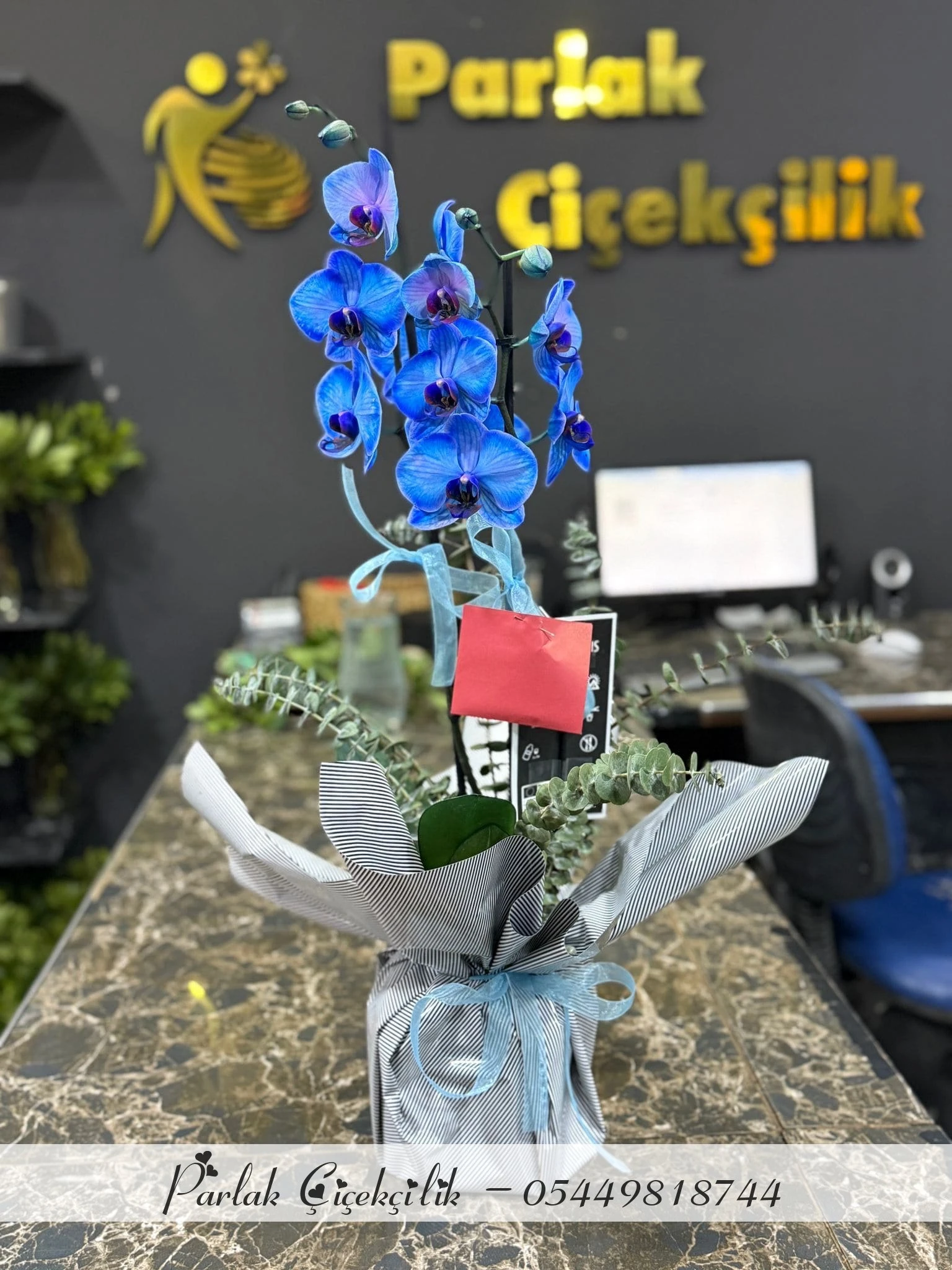 Mavi Orkide ve Okaliptuslu Şık Aranjman