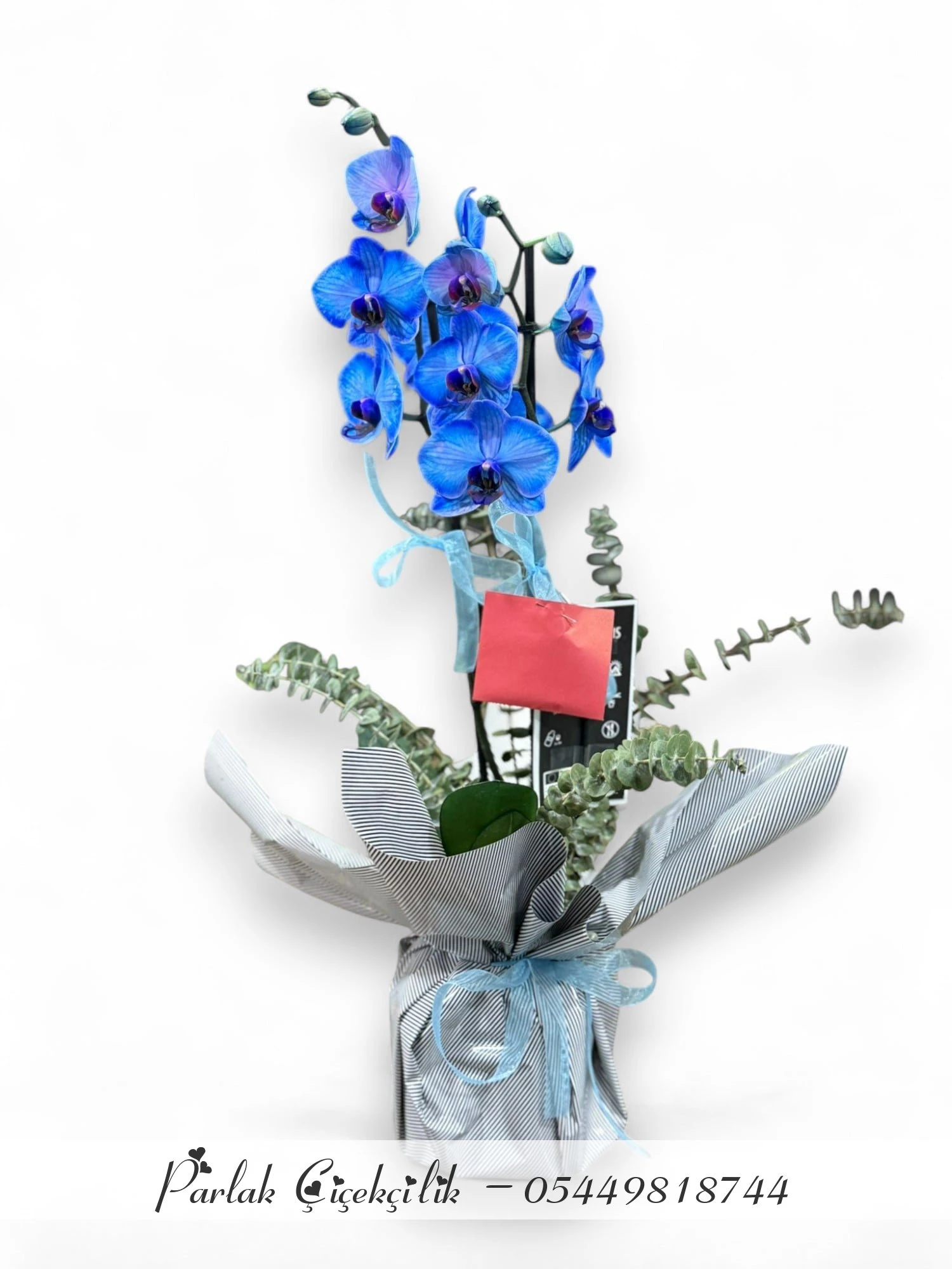 Mavi Orkide Ve Okaliptuslu Şık Aranjman