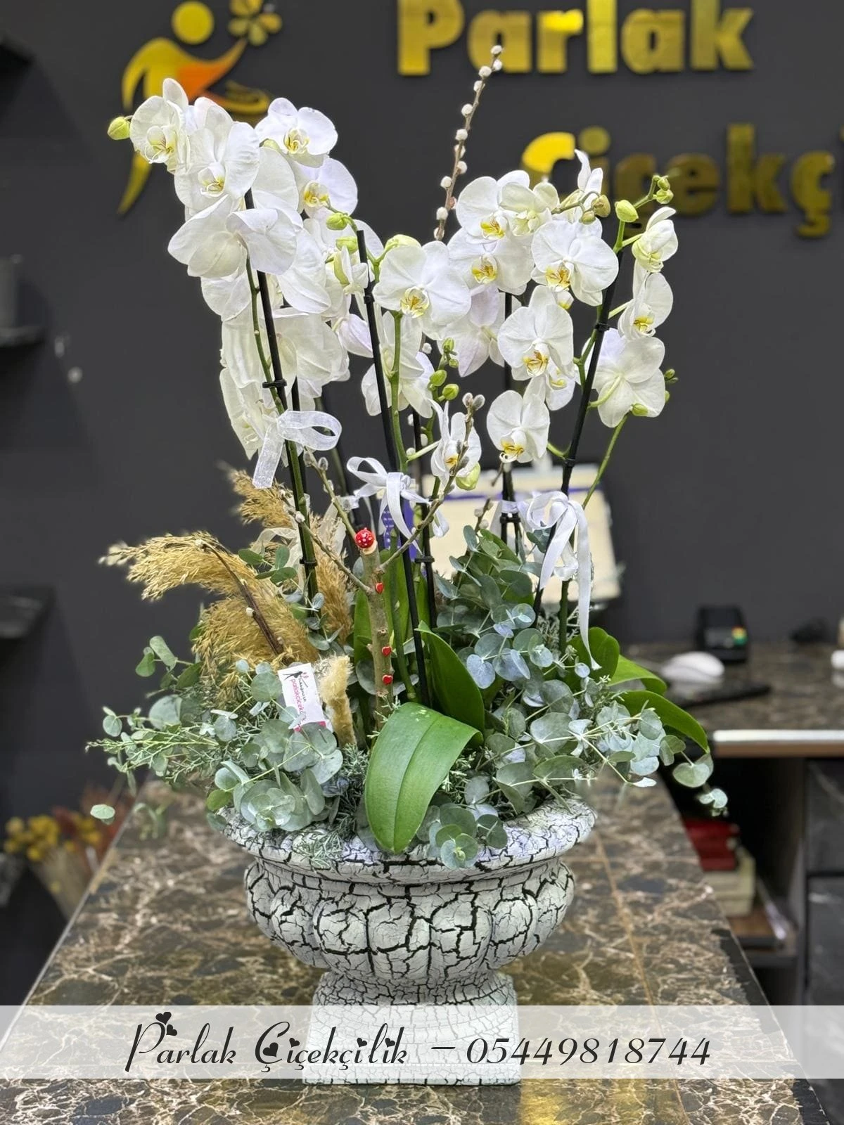 Antik Saksıda Beyaz Orkide Ve Yeşil Doku Aranjmanı