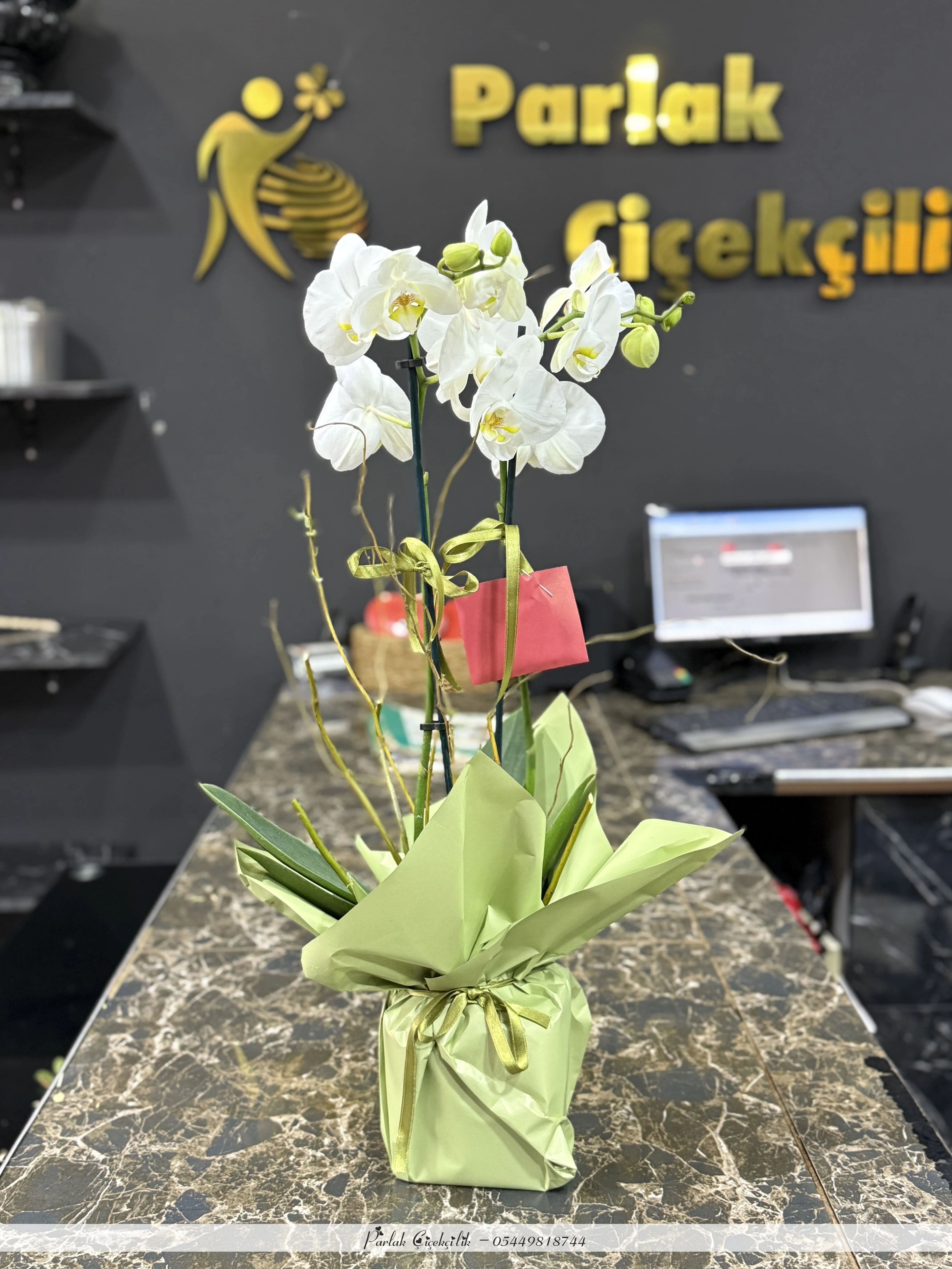 Asaletin Simgesi Beyaz Orkide Aranjmanı