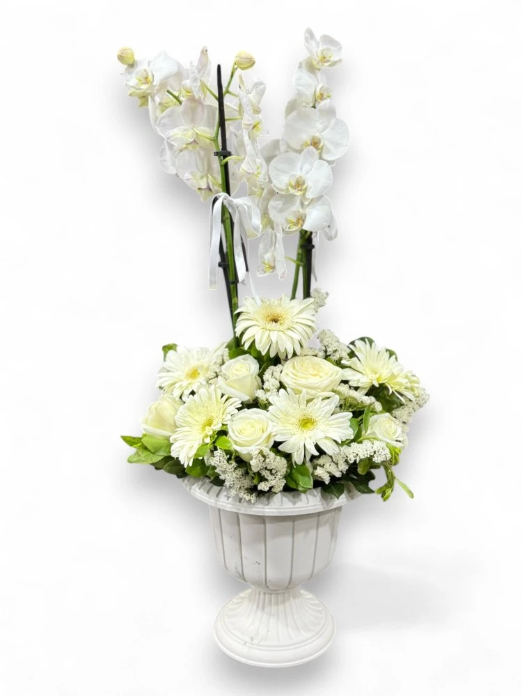 Beyaz Orkide ve Gül Aranjmanıyla Saf Zarafet