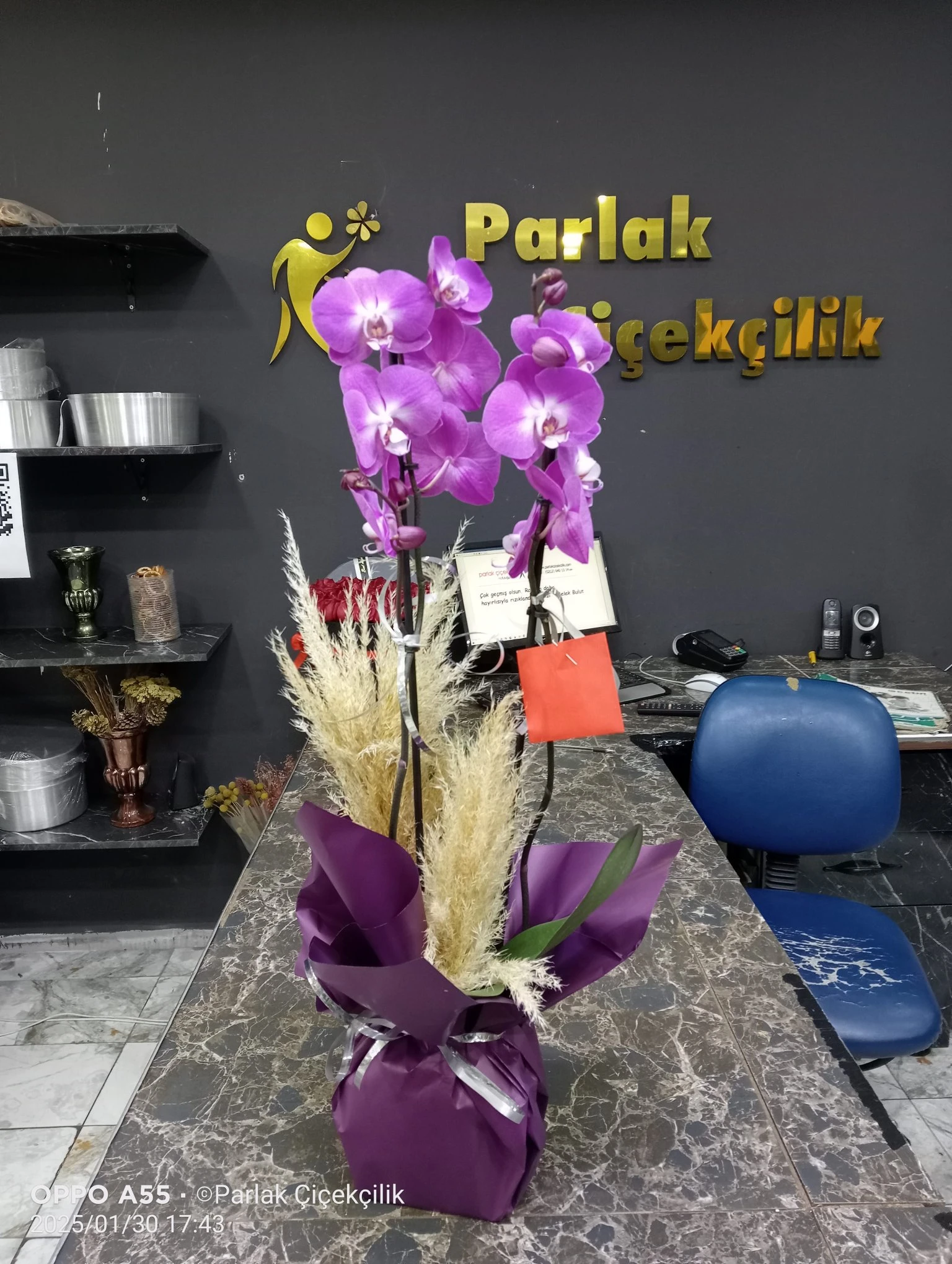 İthal Çift Dallı Mor Orkide