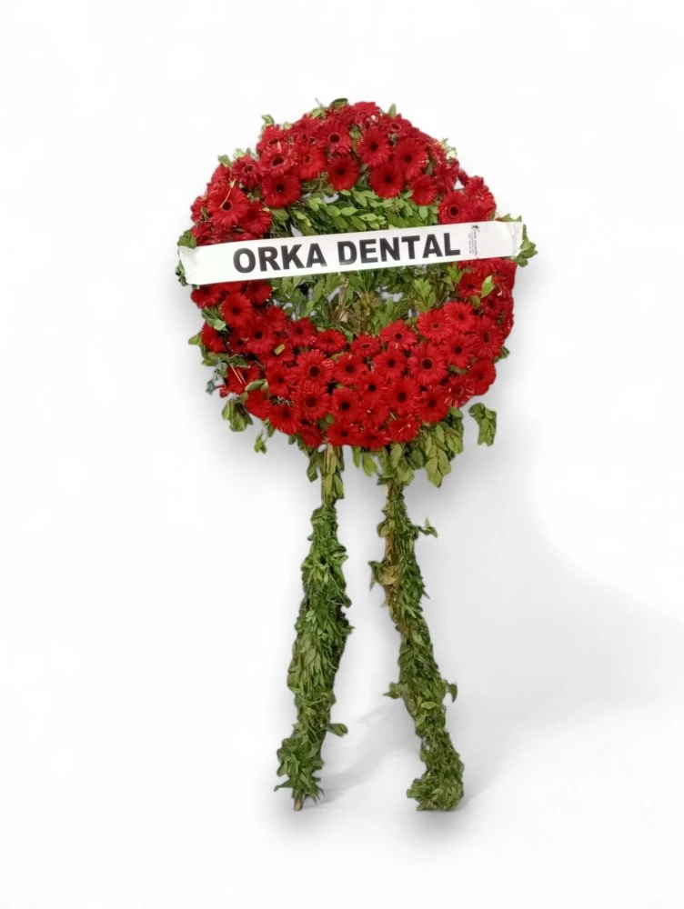 Kırmızı Gerbera Cenaze Çelengi