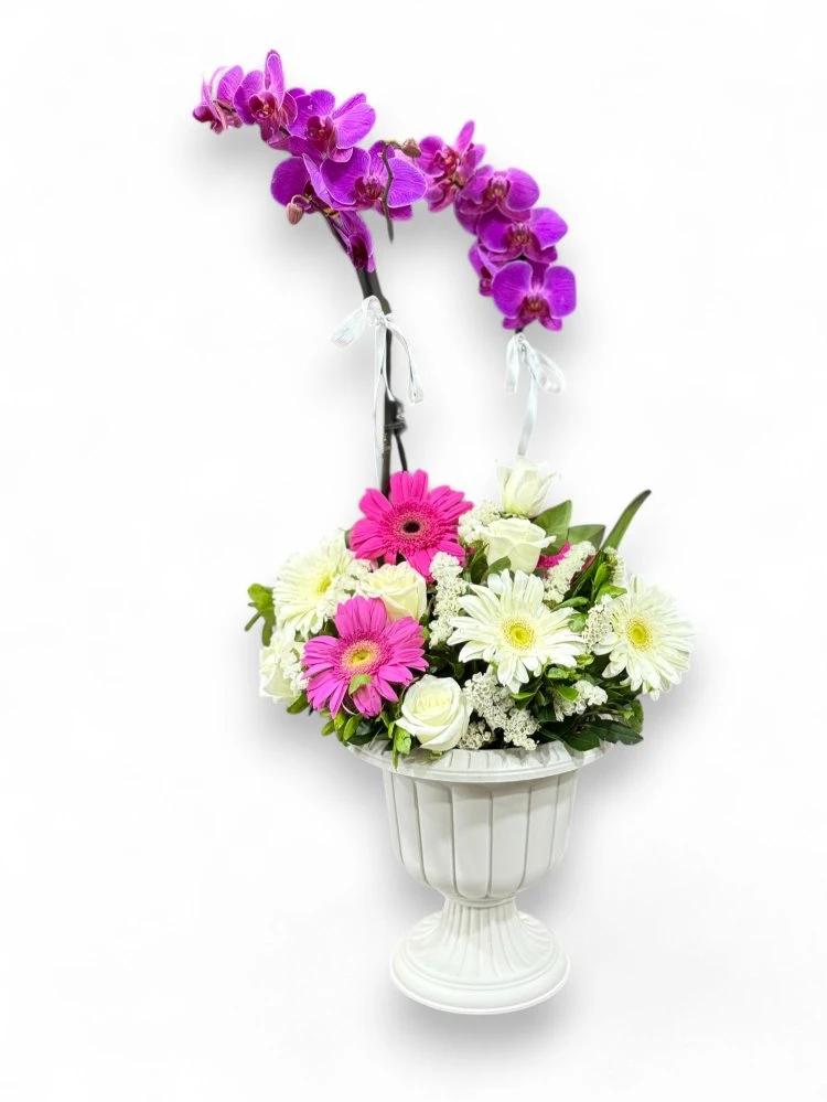 Mor Orkide ve Pembe Gerberalı Şık Aranjman