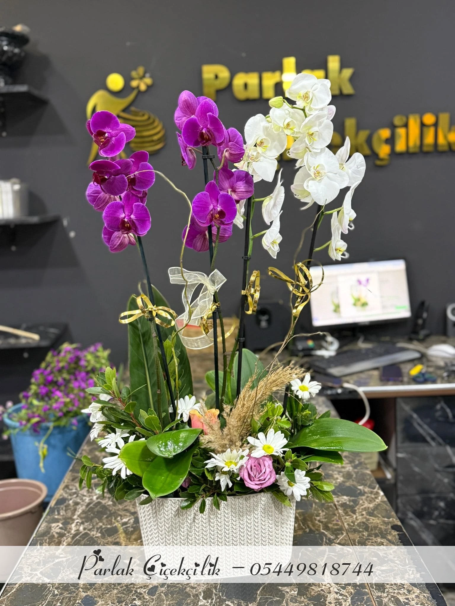Zarafetin Buluştuğu Dörtlü Orkide Aranjmanı