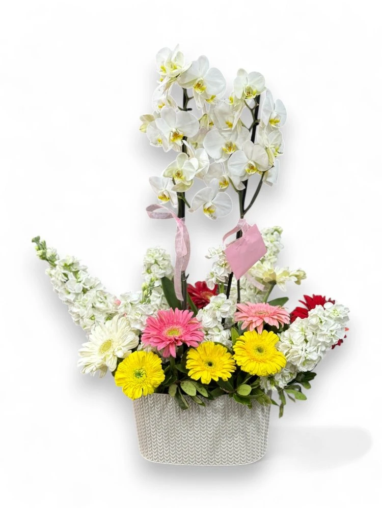 Zarif Orkide Ve Gerbera Aranjmanı