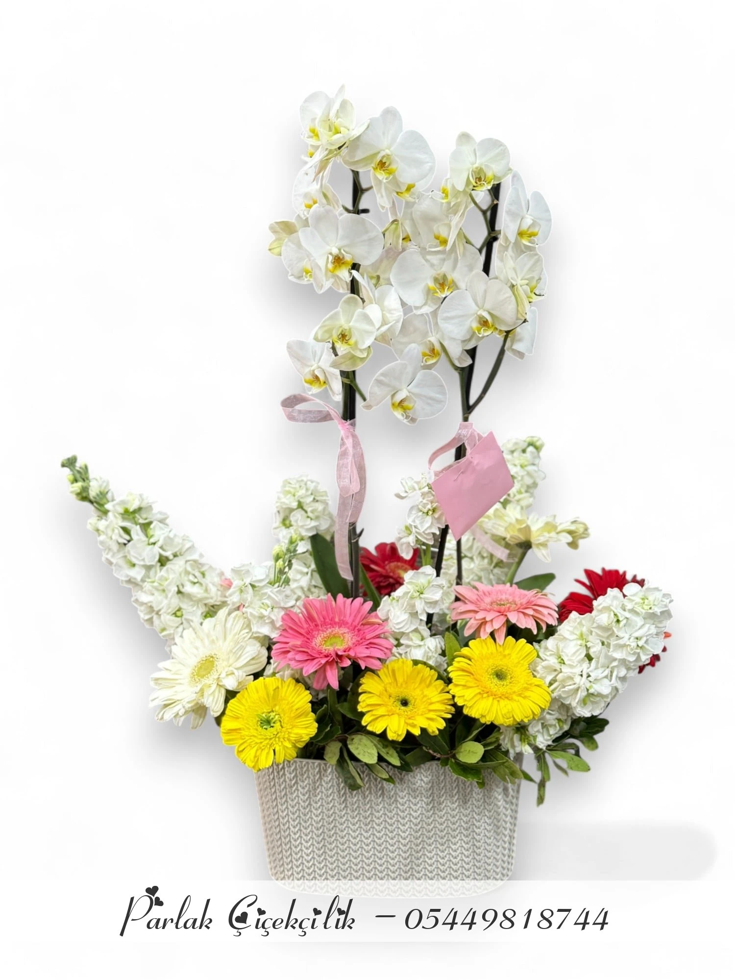 Zarif Orkide Ve Gerbera Aranjmanı